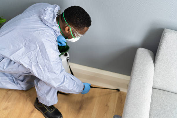 Best Fumigation Services  in Refugio, TX